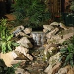 Flower Show 2013