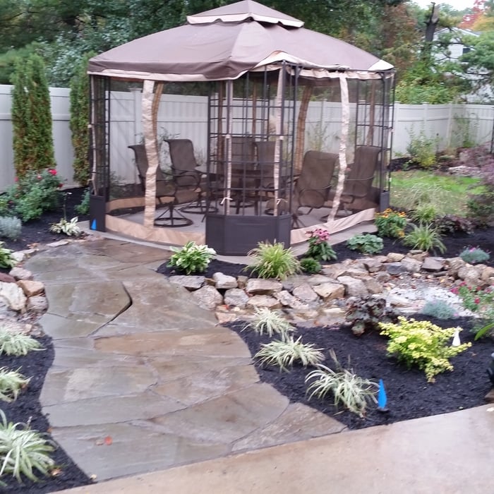 Backyard Landscape
