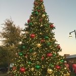 20' tower tree with