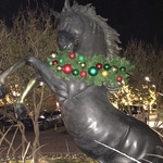 Garland with ornament package