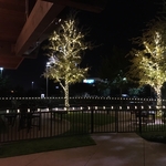 Detail wrapped trees