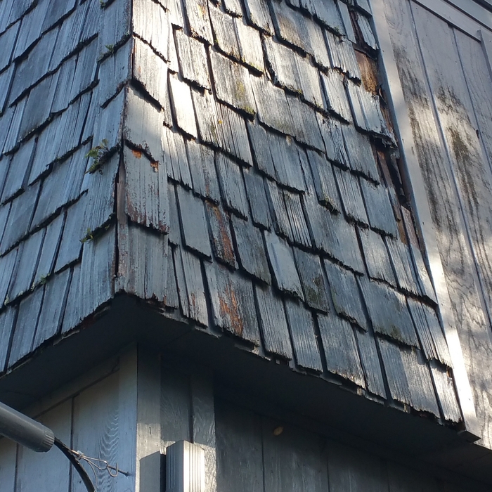 Cedar Siding