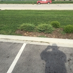 Lawn Maint