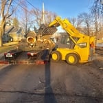 Three Trees Removed for the City of Alden.