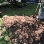 Land scapeing