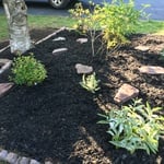 Land scapeing