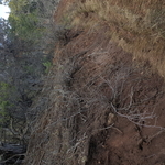 Elkins Irrigation