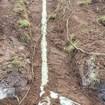 Partially backfilled shared sewer line