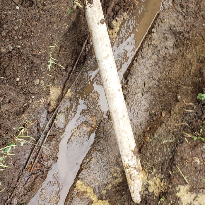 Broken Sewer Line