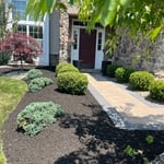 Landscape/Hardscape