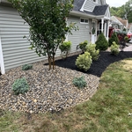 Landscape/ Hardscape