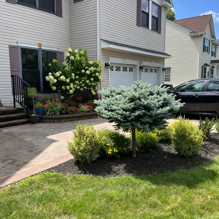 Landscape/Hardscape