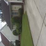 yard now weedeat n edge s