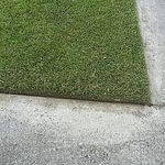 lannscaping
