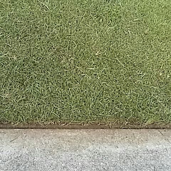 lannscaping