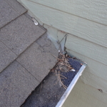 Damaged area