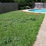 Lawn and Landscaping Work