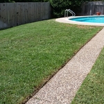 Lawn and Landscaping Work