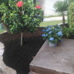 Lawn and Landscaping Work