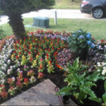 Lawn and Landscaping Work