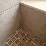 Mold & Mildew growth