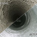 mold removal