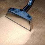 carpet with black mold