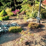 Gatica Lawncare
