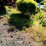 Gatica Lawncare