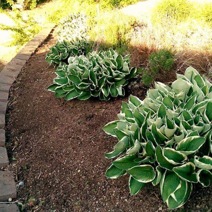 Gatica Lawncare