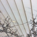 siding vs shrubs