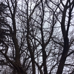 power line