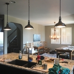 Light fixture and Buck horn chandelier
