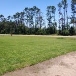 Residential Lawn Maintenance