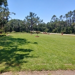 Residential Lawn Maintenance