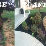 Mulch Bed Makeover 1