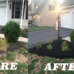 Mulch Bed Makeover 2