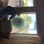 Window cleaning