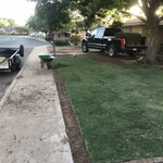 Instant Lawn