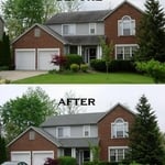 Roof cleaning