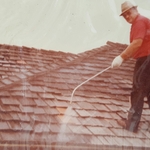 Ed Daley Services