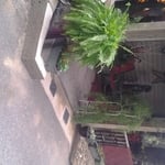 drainage