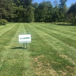 Local Mowing