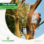 Tree Service