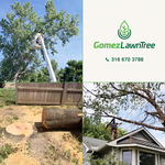 Tree Service