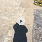 Paver Patio
