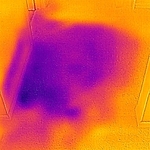 Water Damage