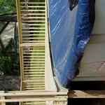 pool deck