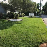Lawncare