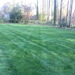 Lawncare